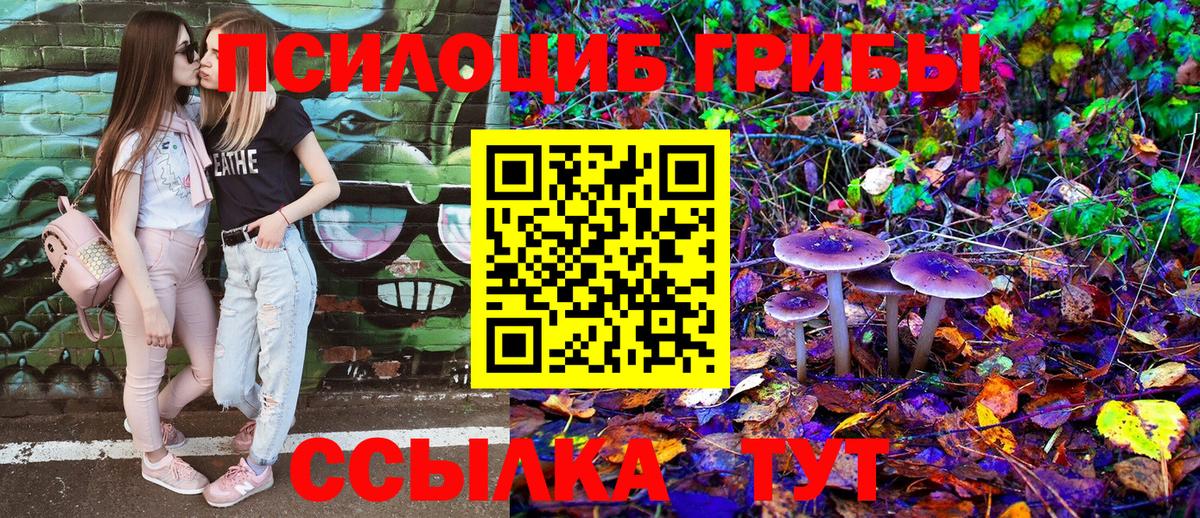 Галлюциногенные грибы Psilocybe Нефтеюганск